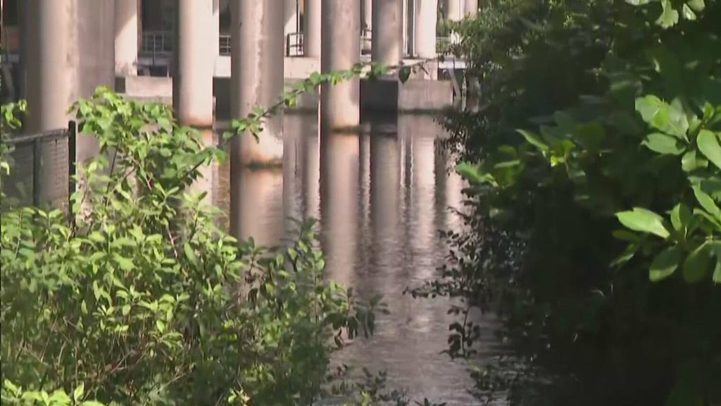Fort Lauderdale pump station moved over 50 million gallons in September; king tide test looms — CBS Miami, Delray Beach Community news