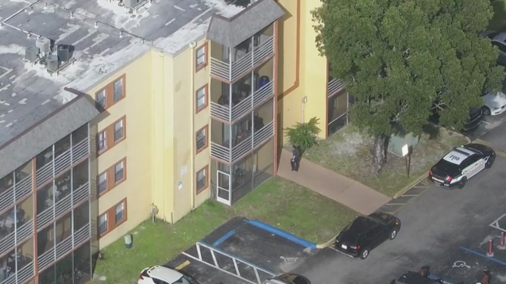 10-year-old girl hospitalized after 8-year-old brother throws knife and hits chest, Lauderhill police say — CBS Miami, Delray Beach Health news