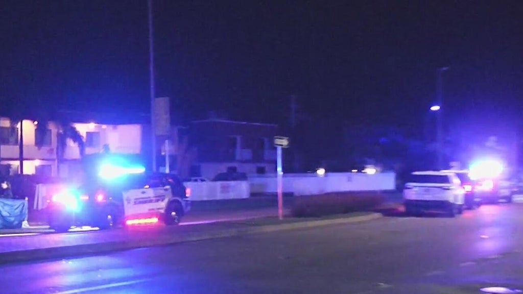 Woman accused of killing man in Dania Beach hit-and-run, BSO says — CBS Miami, Delray Beach Community news