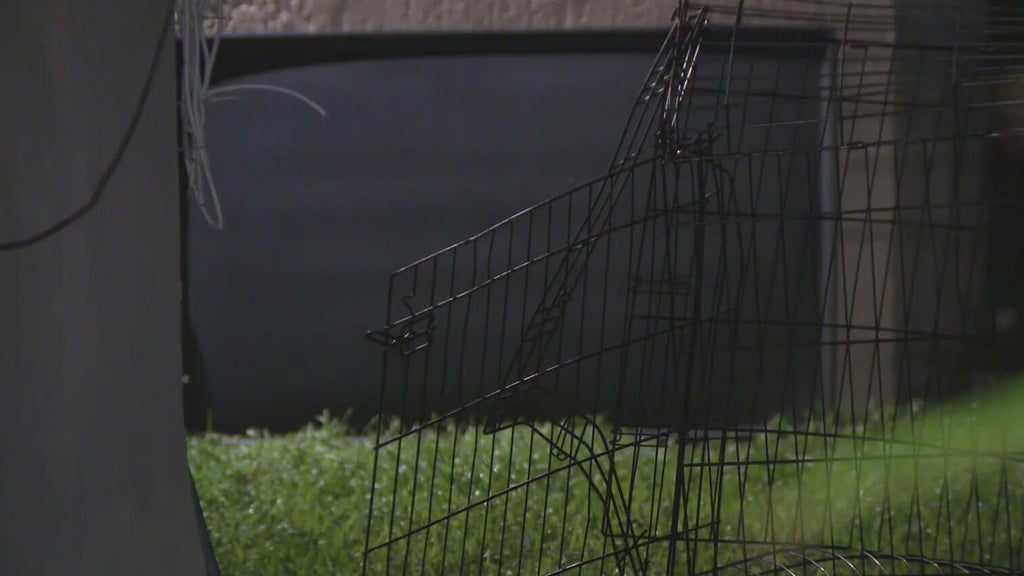 911 call captures frantic report of dog chasing, biting children in Miami — CBS Miami, Delray Beach Health news