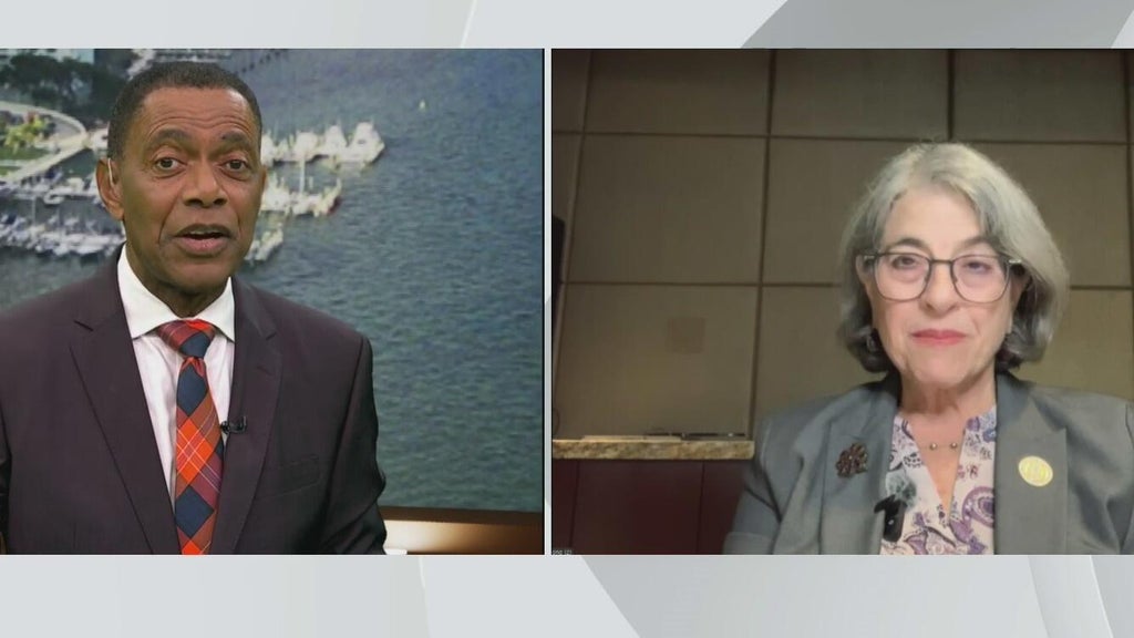 Miami-Dade mayor Daniella Levine Cava speaks on Amendment 3 opposition and county budget woes — CBS Miami, Delray Beach Government news