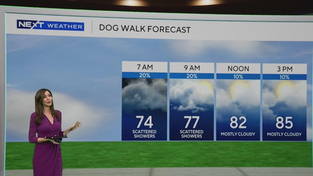South Florida sees some showers Tuesday, but rain chances rise by end of week — CBS Miami, Delray Beach Community news