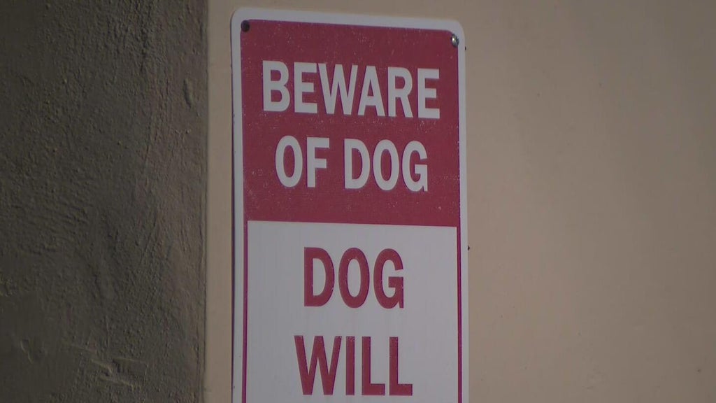 Dog on the loose after attacking a child in northwest Miami-Dade, deputies said — CBS Miami, Delray Beach Health news