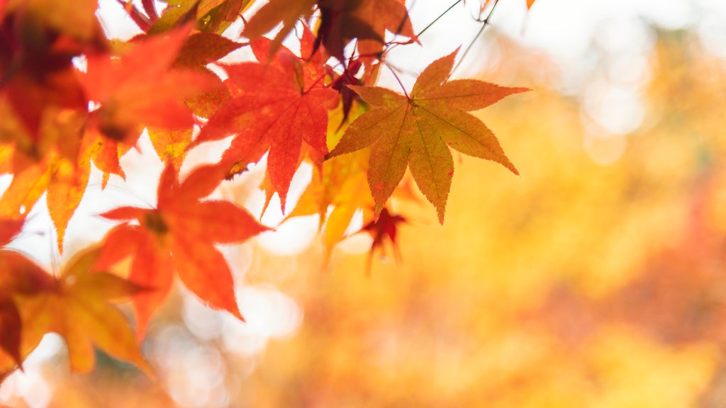 More sunny, mild late October weather in Minnesota Tuesday — WCCO / CBS Minnesota, Delray Beach Business news