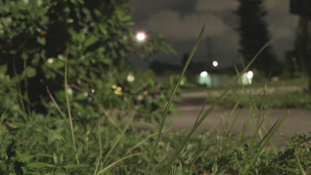 Broward mother says she went months without update after reporting man outside her window — CBS Miami, Delray Beach Real Estate news