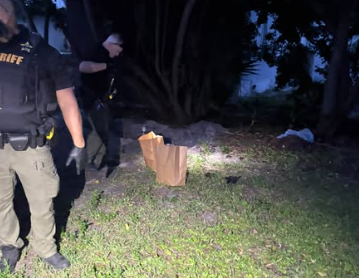 Woman arrested after cats found buried alive in her yard in Hobe Sound — WPBF West Palm Beach