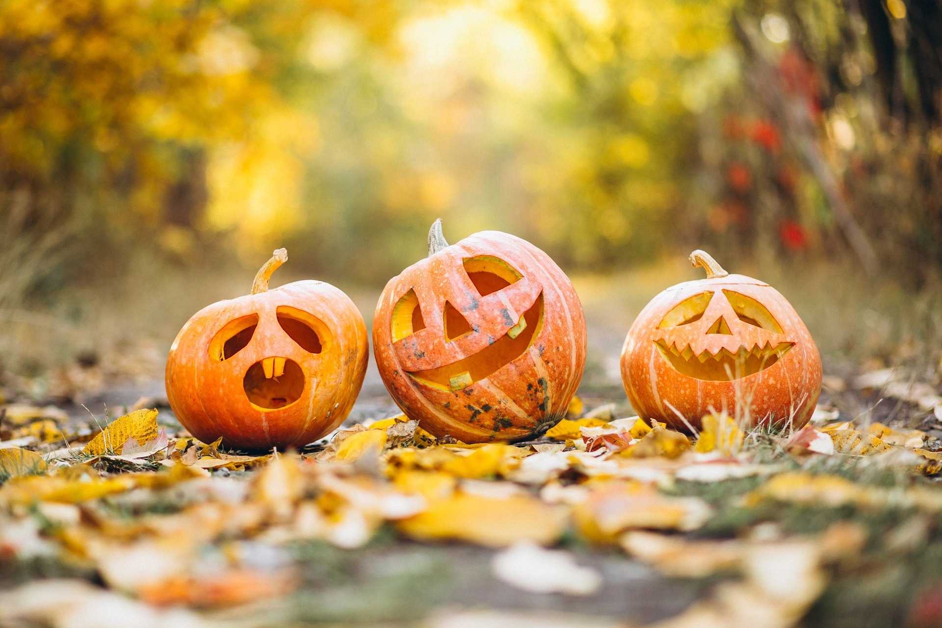 Rock N' Fall Festival in Royal Palm Beach Oct. 23-24 — WPBF West Palm Beach