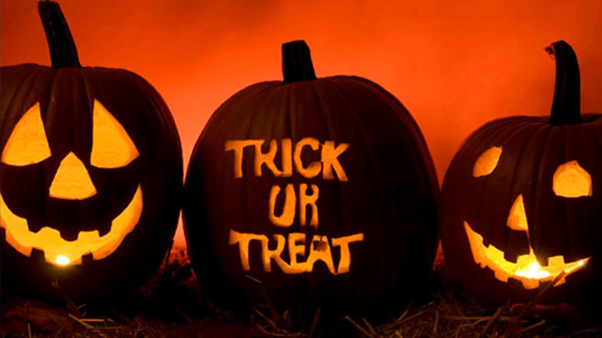 Halloween fun across the Treasure Coast and Palm Beach — WPBF West Palm Beach