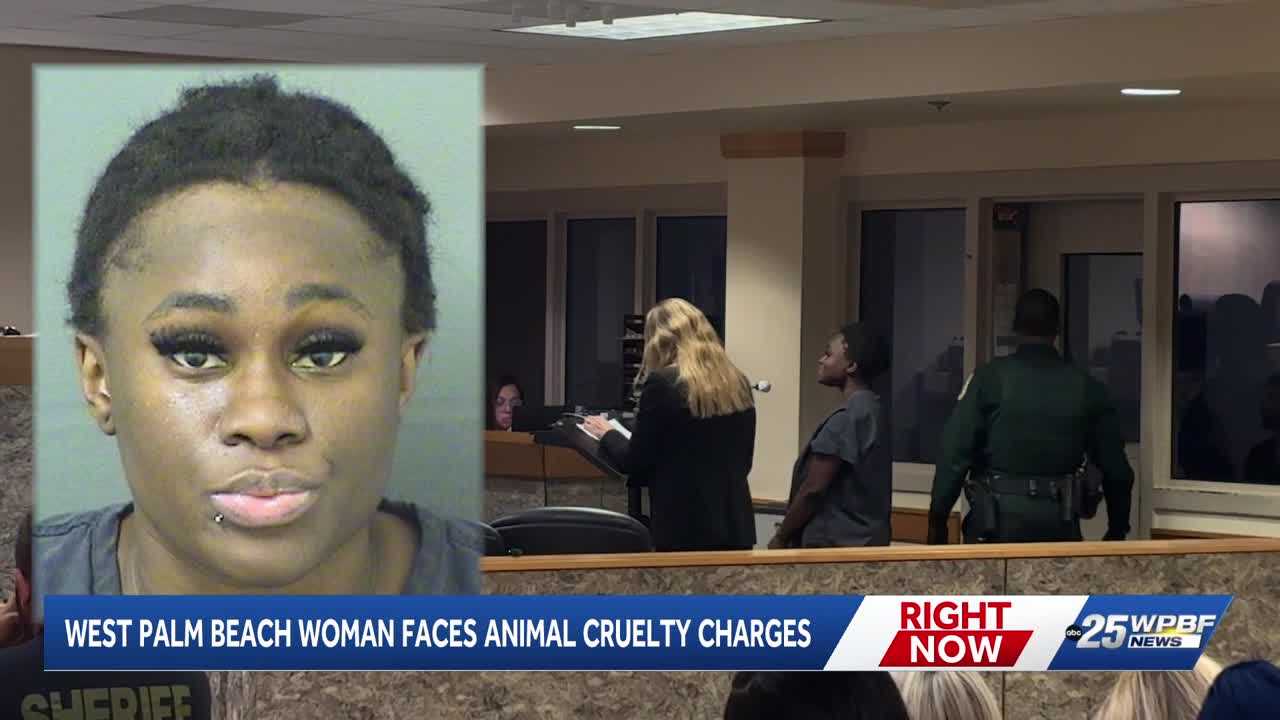 West Palm Beach woman faces aggravated animal cruelty after death of Yorkshire terrier — WPBF West Palm Beach, Delray Beach Community news