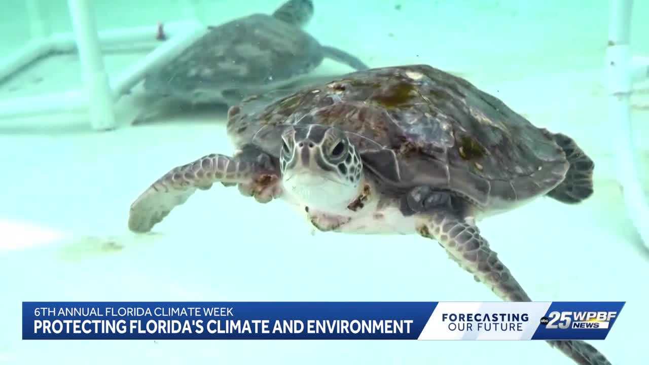 Florida Climate Week brings focus to environmental challenges and ocean research — WPBF West Palm Beach, Delray Beach Community news
