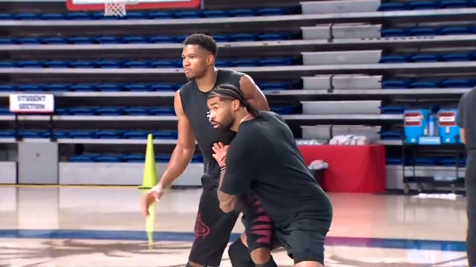 Giannis Antetokounmpo and the Miami Heat could be a perfect title-chasing pairing — WSVN Sports